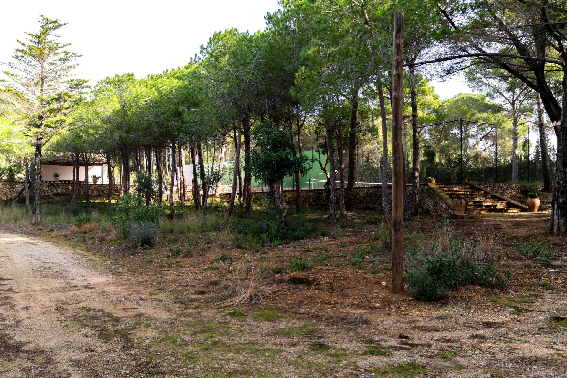 foto48