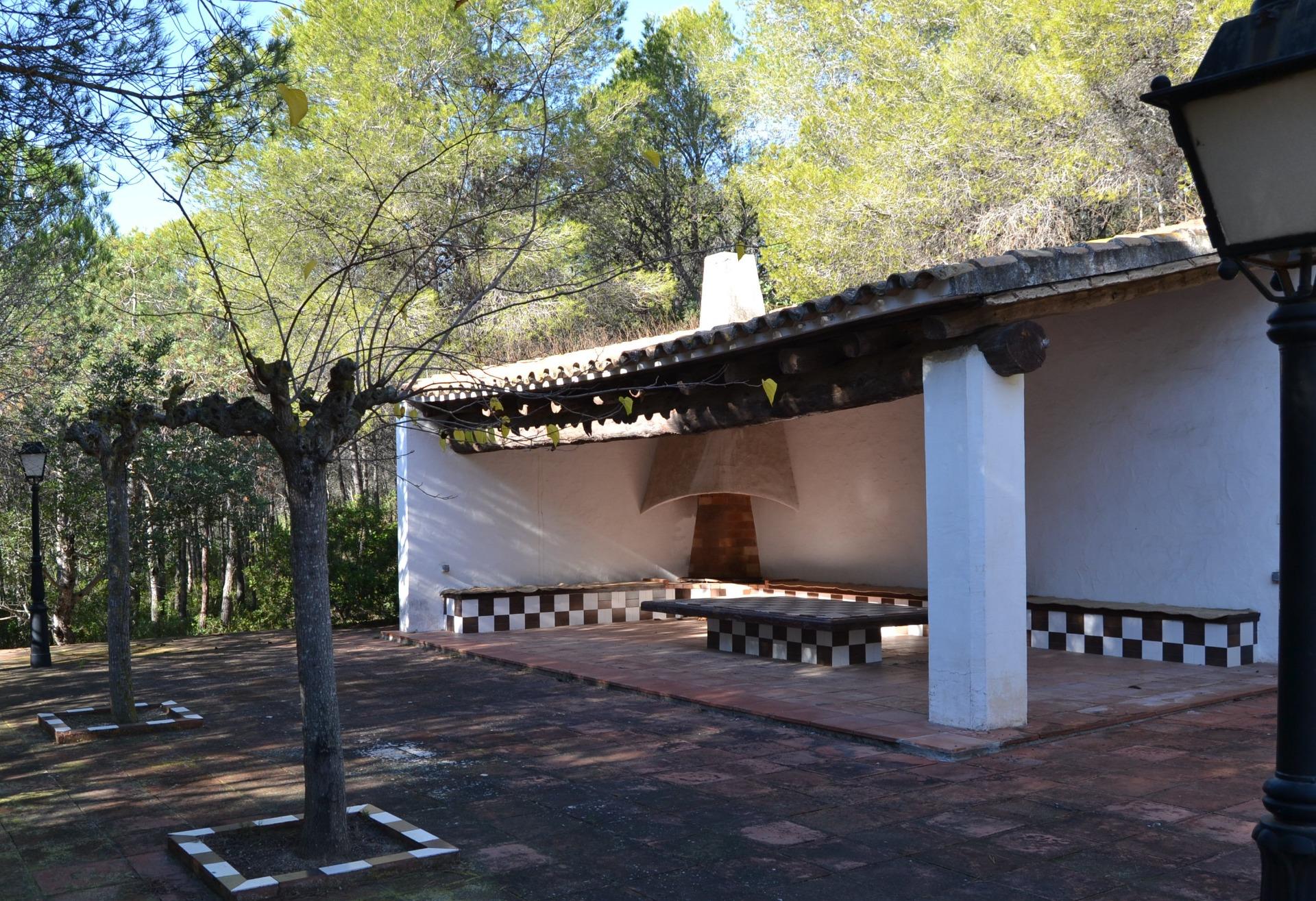 foto8